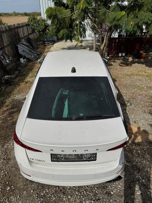 Luneta Skoda Octavia 2024-2025