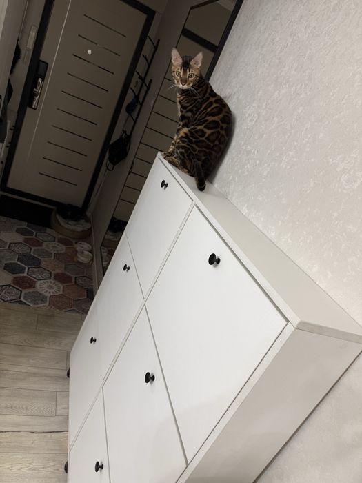 Продам обувницу и две полочки