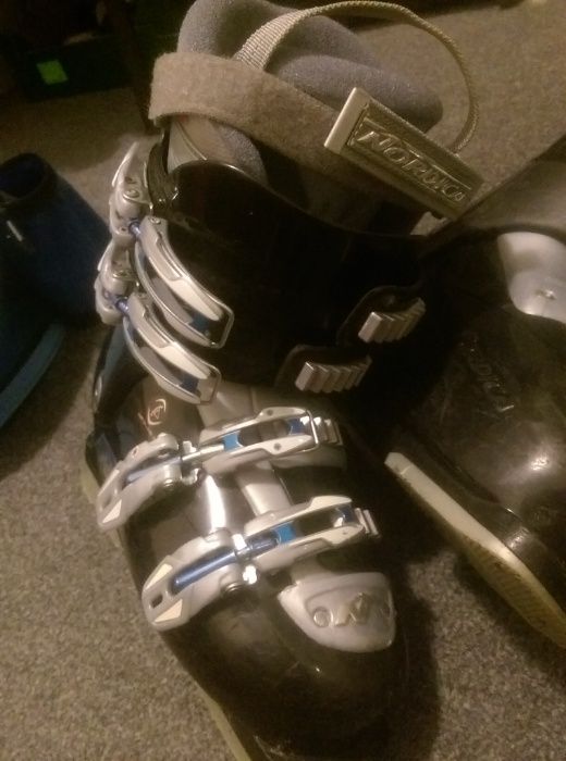 Clapari Nordica mar. 38