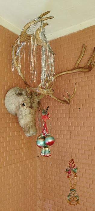 Голова оленя!!! Производство СССР.