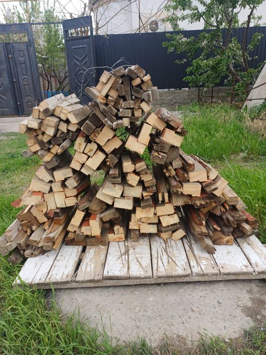 Дрова дешево Шымкент