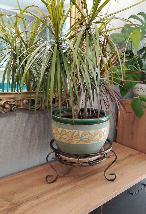 Подставка для растений