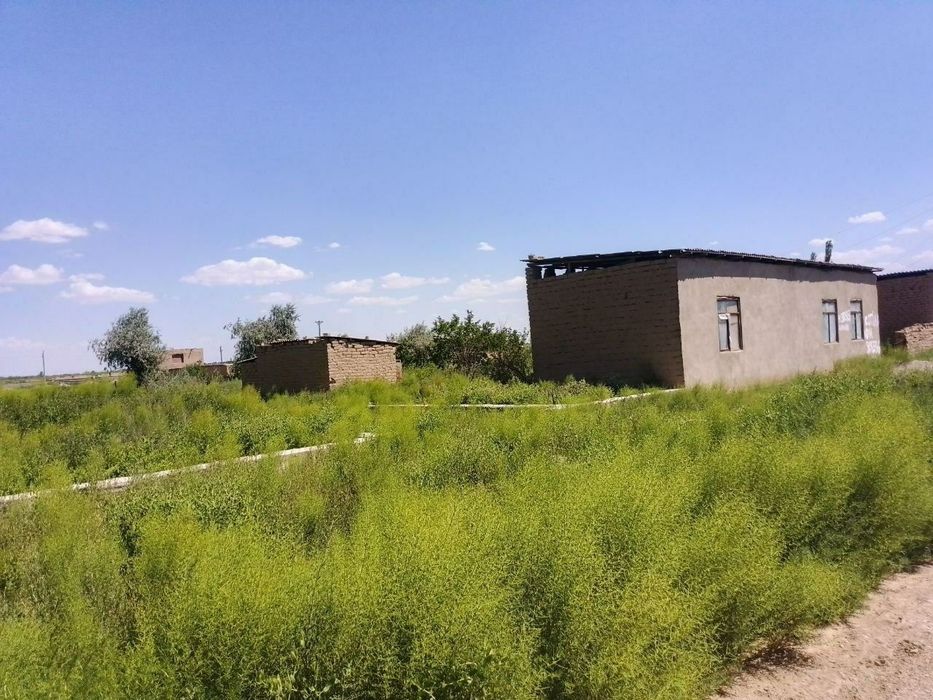 Xovli sotiladi 85mln sum