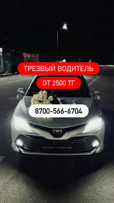 Трезвый водитель