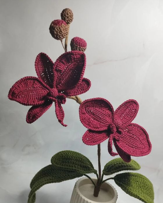 Интерьерная Орхидея, вязанный Фаленопсис