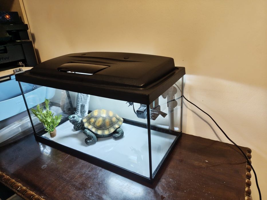 Acvariu complet,  60 cu 30 cm. Plus cadou!!!