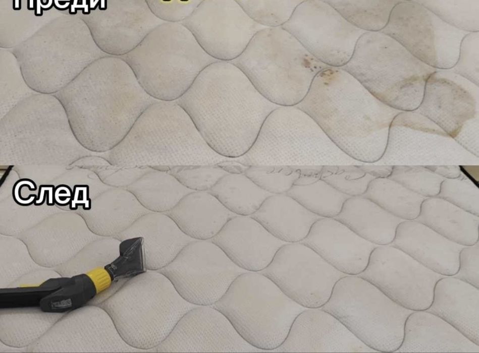 Прогисионално почисване