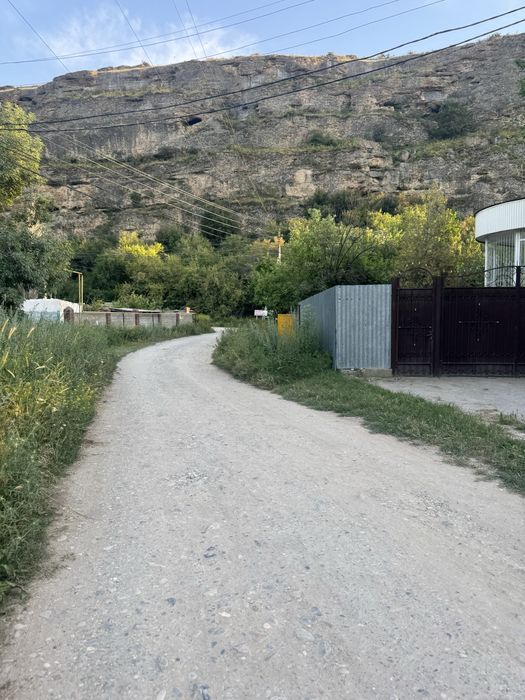 Сдам в аренду фазенду