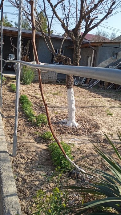 Уй сотилади , ери билан