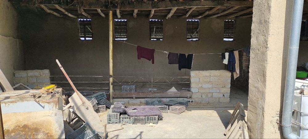 Арендага памишения Зангиота Райсентр ШОЙИМкупри