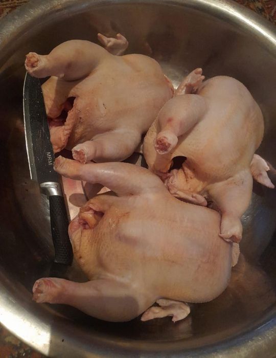 Продам мясо бройлеров