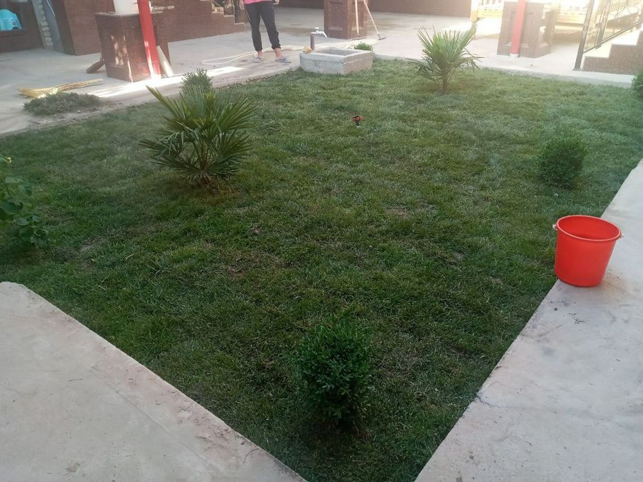 Gazon ekish lanshaftni dizayin ishlarining bajarish xar turdagi dekara