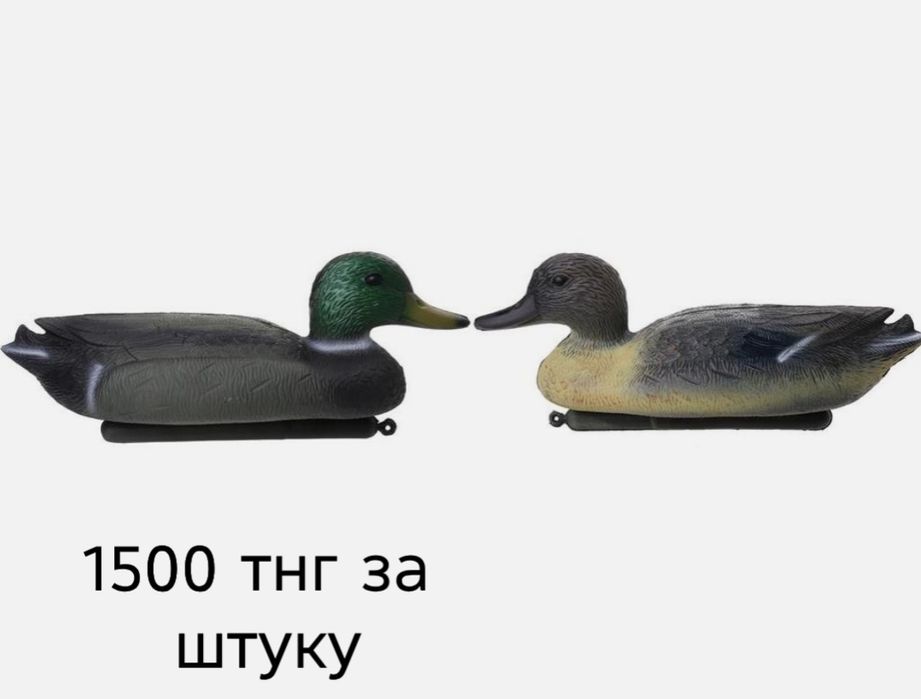 Распродажа охотничьих принадлежностей