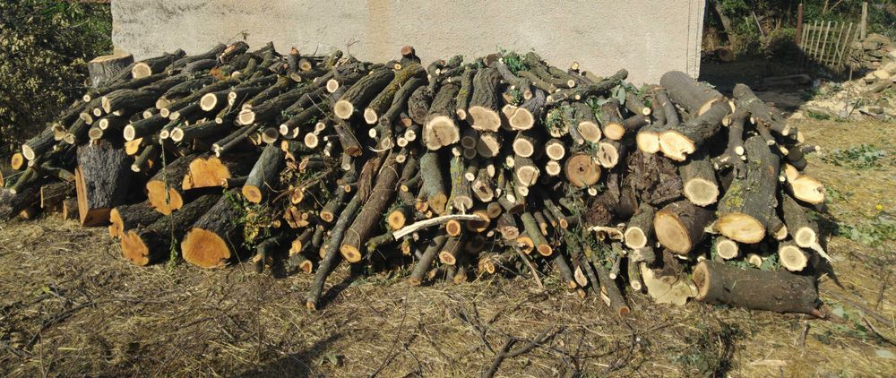 Дърва за огрев 50лв