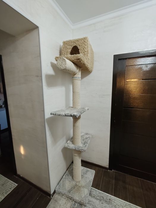 Когтеточка домик