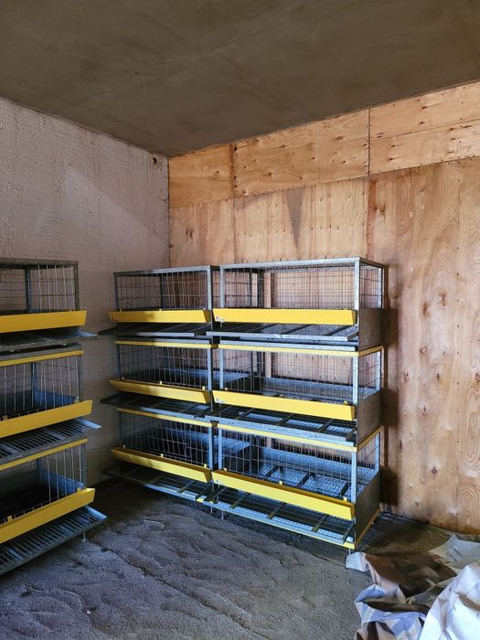 Клетки для крольчят, утят, куриц