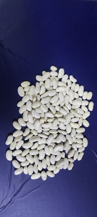 Ячмень! Платный чат! Все корма.