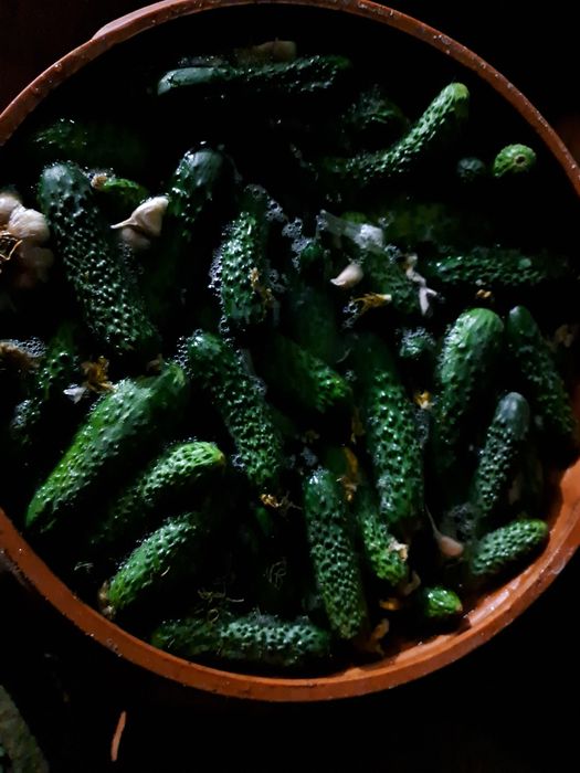 Vand castraveți murati in saramura