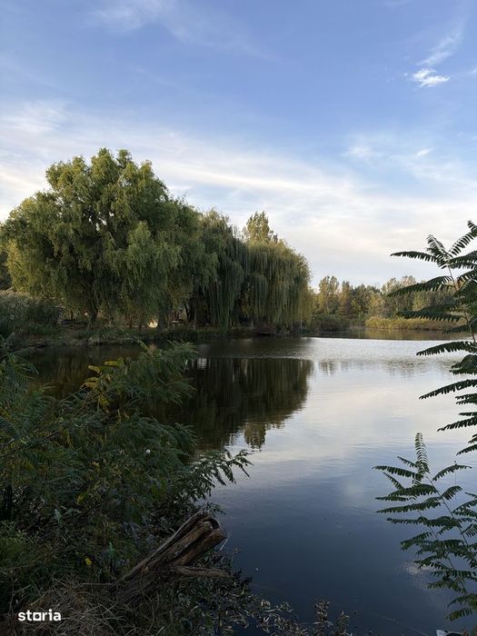 Baltă Pescuit cu cabana / Afacere la cheie
