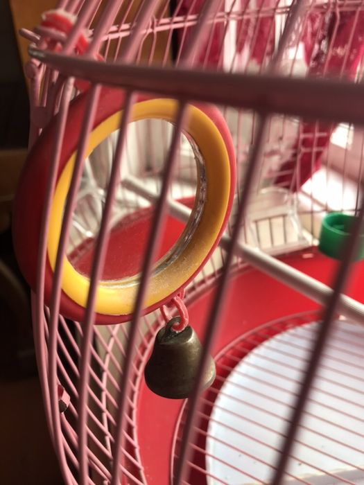 Клетка для птиц и ваших питомцев