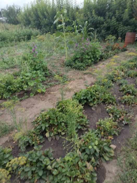 Продам дом на ГРП.