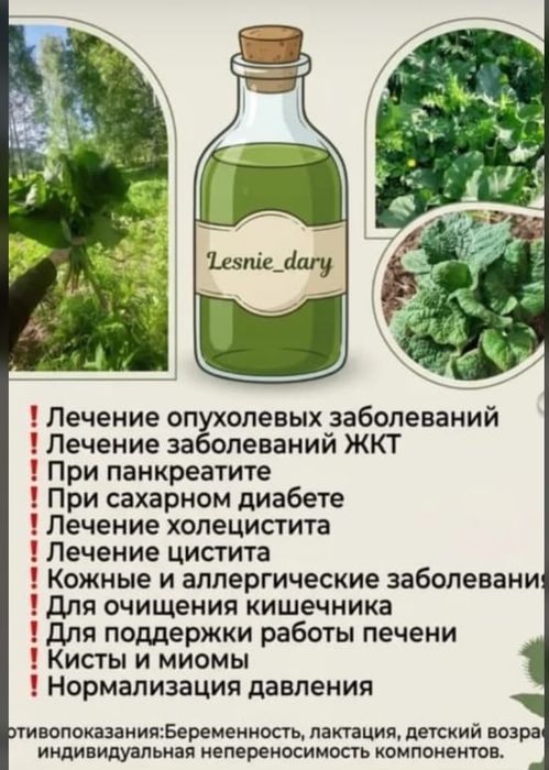 Майский лопух сок Шымкент