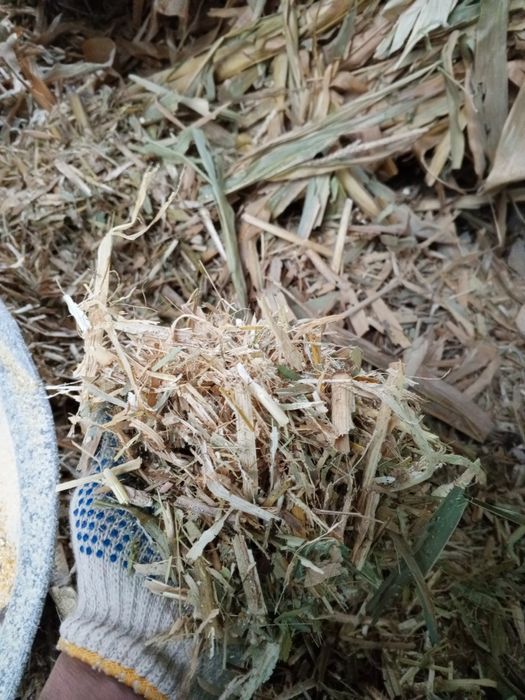 Qoy sigr buqa va boshqa hayvonlar uchun  drabilka