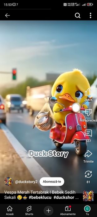 Debarasare Deseuri din Constructii / Renovari Debarasare Mobila Veche