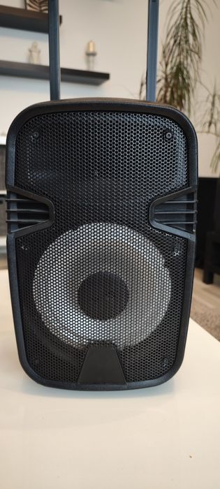 Boxa bluetooth , radio , usb si micro SD , 40 cm