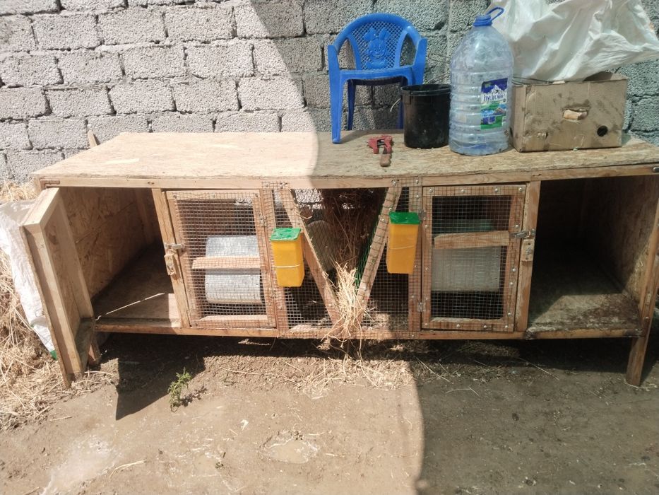 Quyonlar va quyon qafaslari sotilad