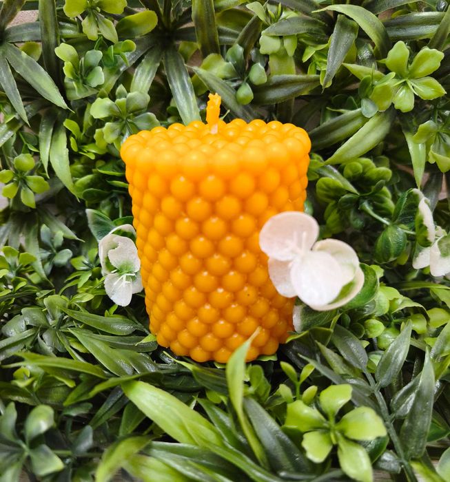 Свещи от 100% пчелен восък - ръчна изработка