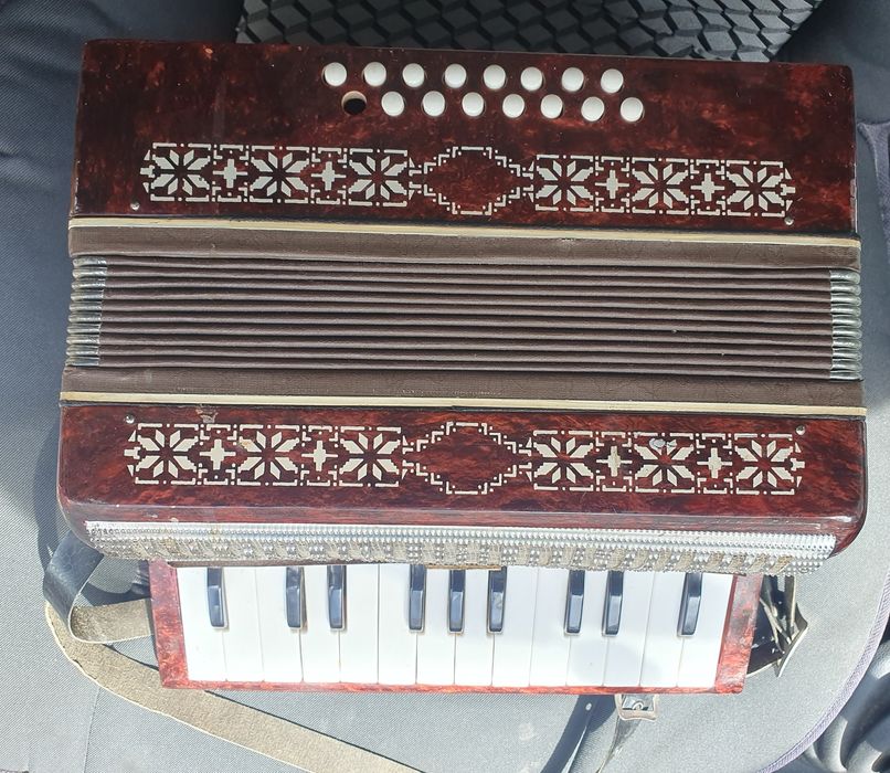 Детски акордеон мальш със кутия малиш