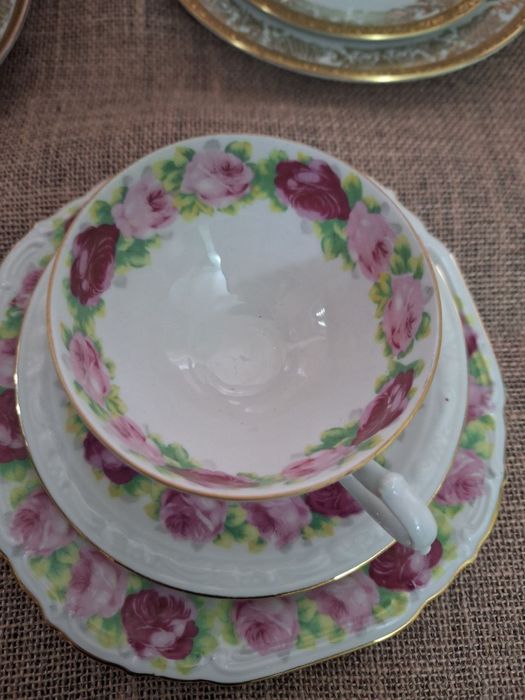 Бакалы новые, Богемия