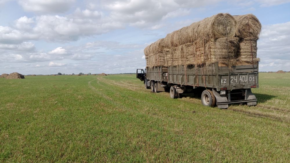 Продам сено разнотравия руллонах зелёный