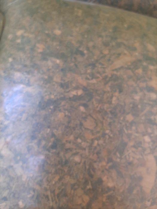 Selos sotiladi narxlari xamyonbop  donli