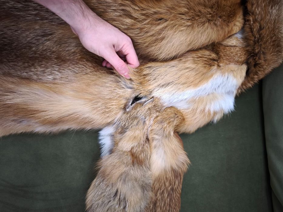 Haina de vulpe naturala