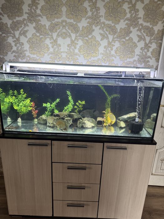 Аквариум 260 литров