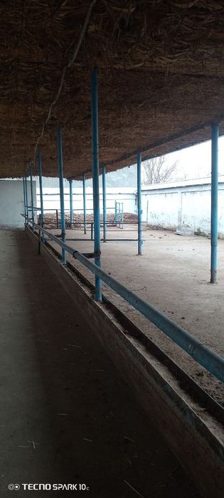 Срочно сотилади. 25 соток Нежилой жой. Толов исталган усулда.