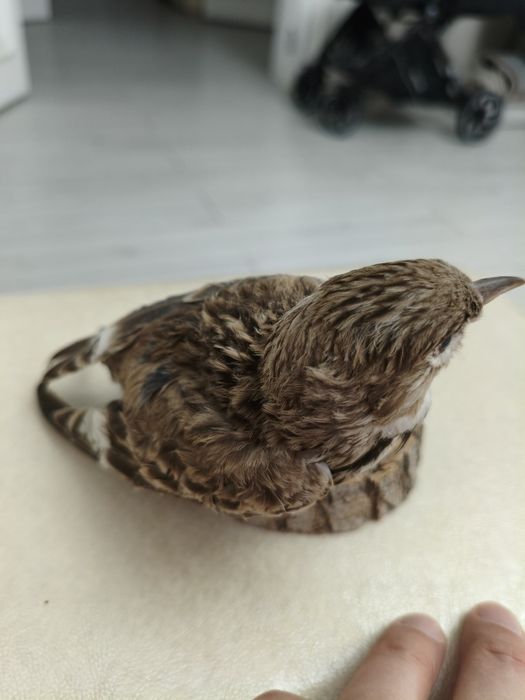 Продам Сувенир для дома, отличном состоянии