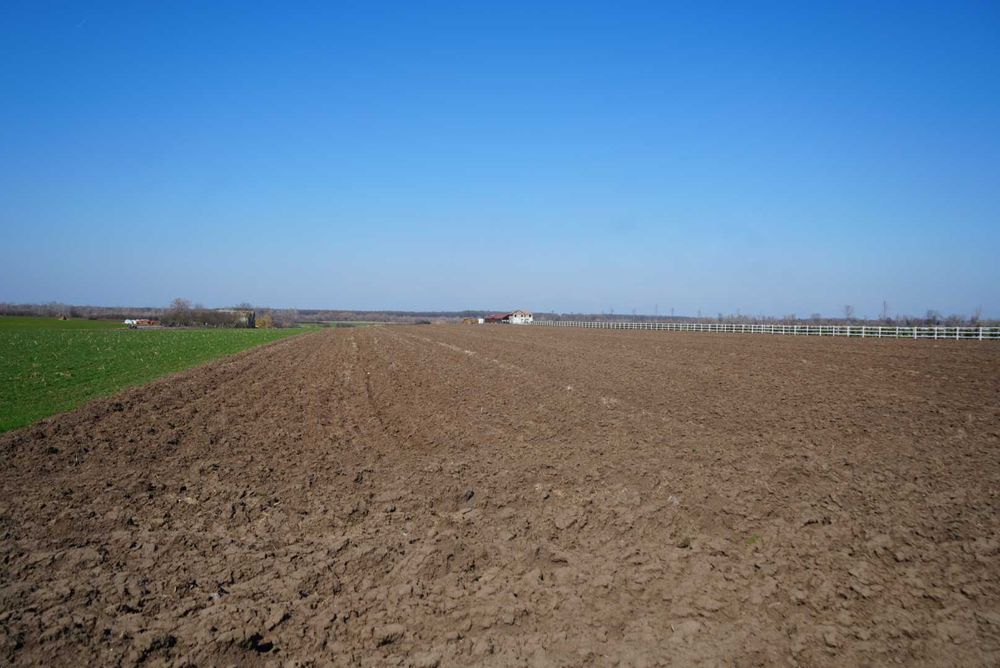 Teren 1 HECTAR cu deschidere mare la DJ682 – Zădăreni, Arad