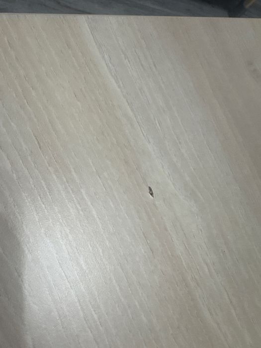 Masa extensibila