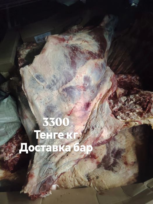 Ет мясо говядина сиыр жылкы конина