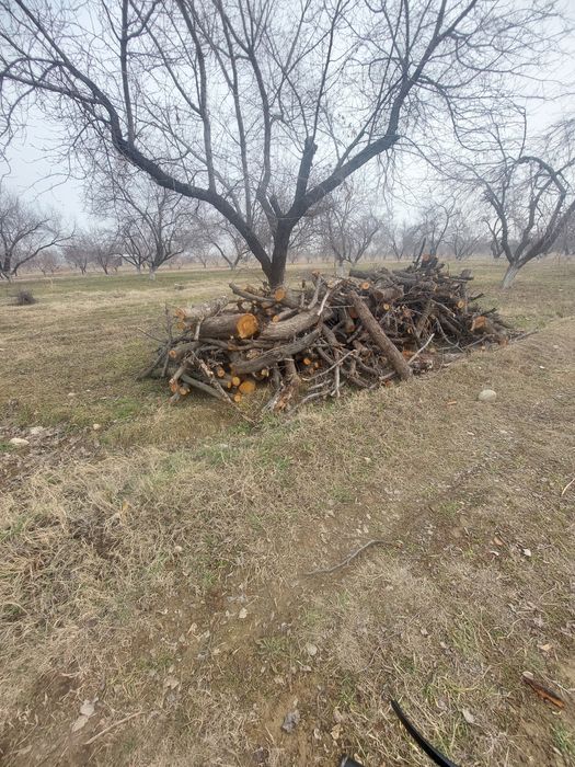 Otin sotiladi fargona