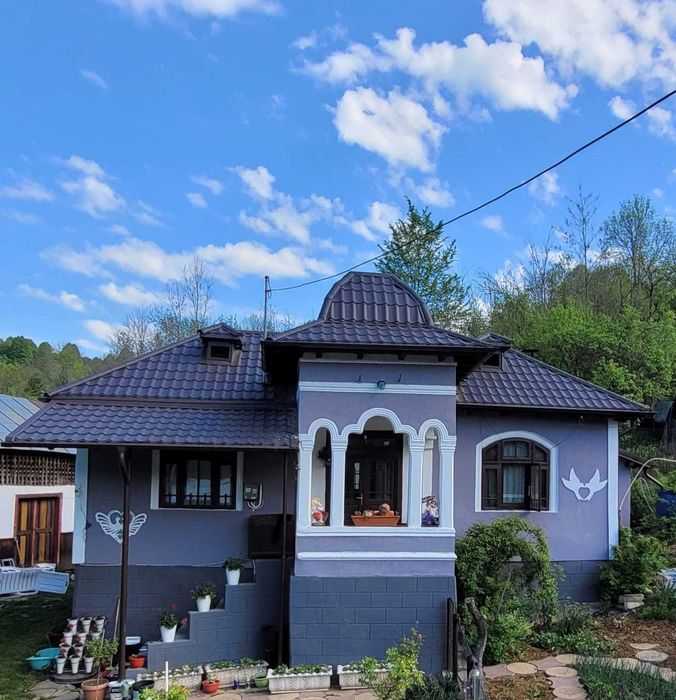 Vand casa la tara