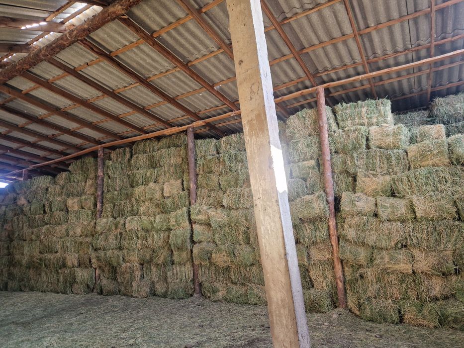 Жоңышқа пресс 2500 тг.