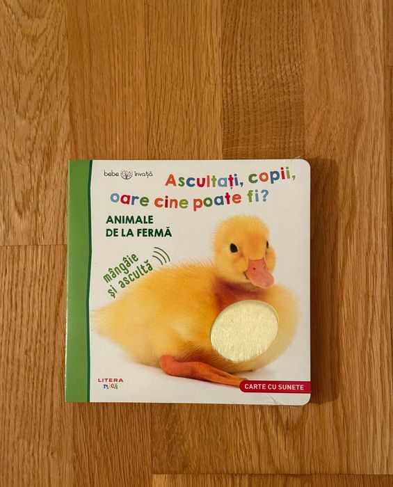 Set jucarii copii 18m+