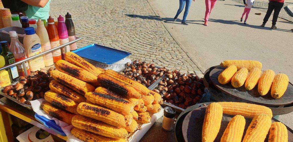 Царевица Кочан сорт Оверланд реколта Септември 2025г /замразена /