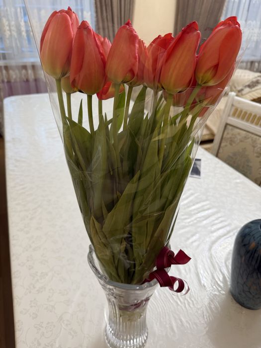 Тюльпаны 13 шт свежие
