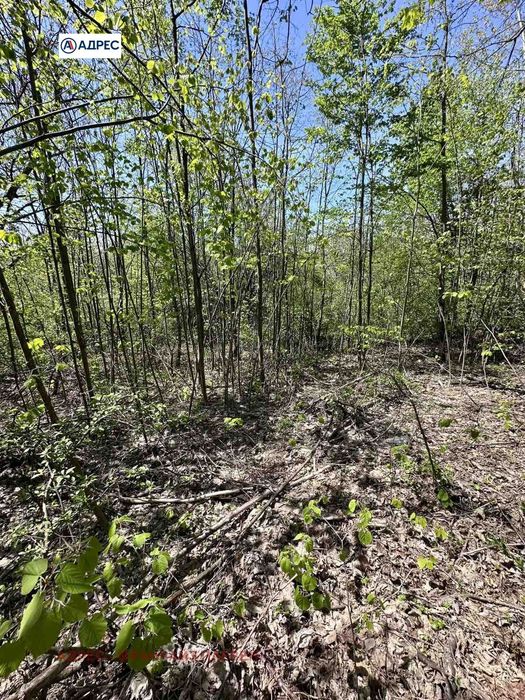 Продава се Парцел в с. Велчево, Област Ловеч - 1466 кв.м за 9 €/кв.м - Снимка #2