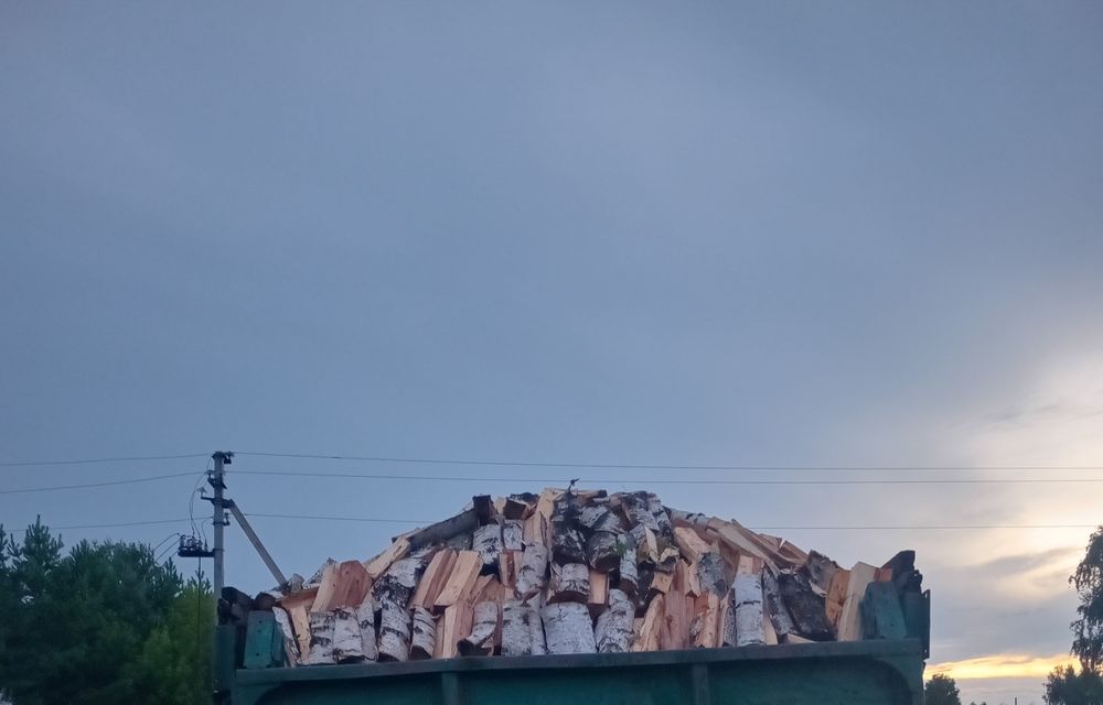 Продам дрова колотые